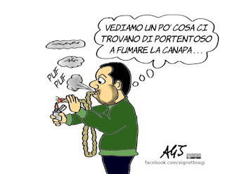 cannabis light, salvini, canapa, legalizzazione, droghe, principio attivo, vignetta, satira