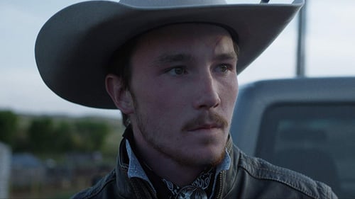 The Rider - Il sogno di un cowboy 2017 sub ita