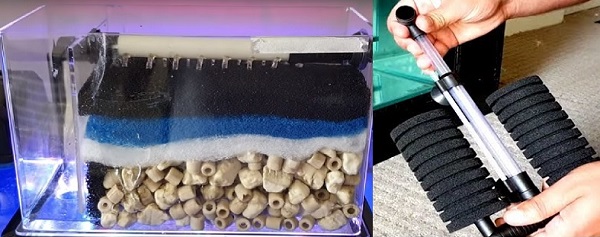 Foam Filter VS Sponge Filter: Which One is Better?