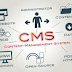 CMS-A STUDY OF VULNERABLITIES AND PROTECTIONS