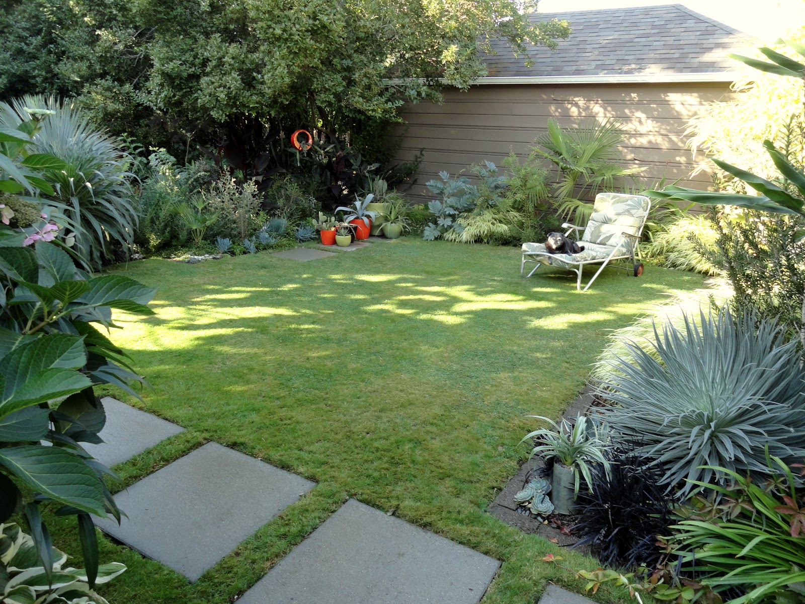 danger garden: Yes as a matter of fact I did get rid of some lawn…