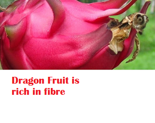 Dragon Fruit is rich in fibre