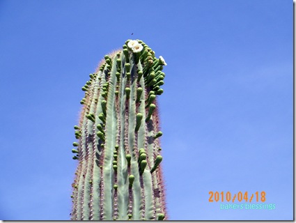 100_2877