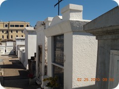 DSCN3997
