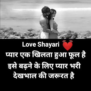 प्यार एक खिलता हुआ फूल है , pyar ki kimat shayari in hindi , Pyar Ki Shayari , pyar ki kimat shayari , pyar ki shayari in hindi font , pyaar ki kimat shayari , Pyaar Ki Shayari