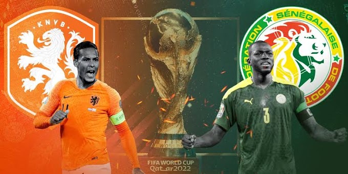 Senega vs Netherlands match preview and  today'predictions
