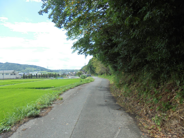 つぼかめ山周辺道路