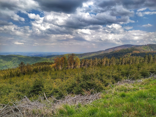 widok ze szlaku na Wielką Sowę, panorama gór