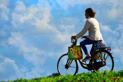 beste fietszadel goedkoop kopen