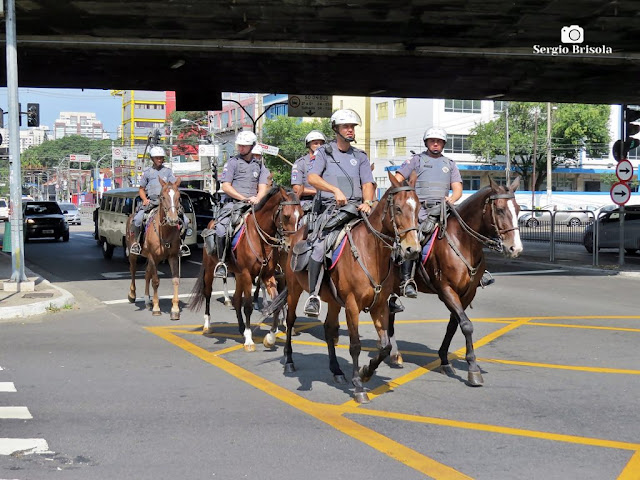 Close-up de grupo de Policiais da Cavalaria da Polícia Militar de São Paulo em patrulha por Sampa