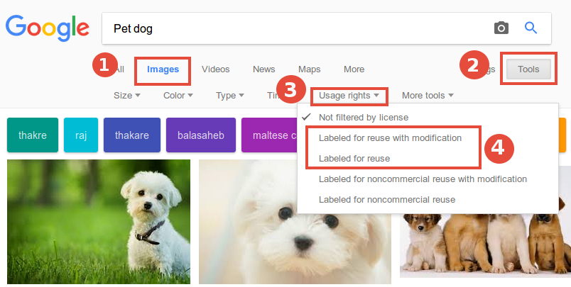  How to find copyright free images from Google search images