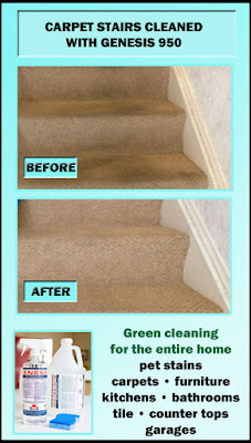 Best carpet Cleaning Solution