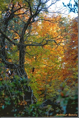 12_DSC8685X1