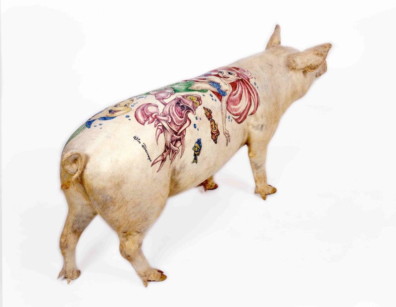 I don't see much point in tattooing a pig but I just don't get why the image 