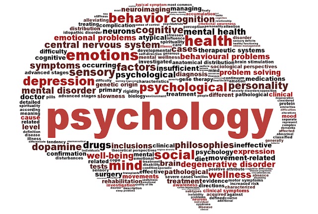 TET 2 Exam Study Material : Psychology E-Book 