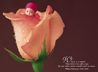 Anne Geddes Valentine Collection