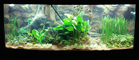 3d Aquarium Backgrounds2