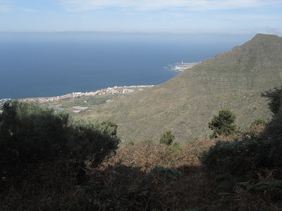 TEGUESTE - MESA DE TEJINA, sendero