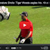 Signature Shots: Tiger Woods eagles No. 18 at the Honda Classic