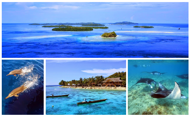 Tempat Wisata HALMAHERA SELATAN yang Wajib Dikunjungi  31 Tempat Wisata HALMAHERA SELATAN yang Wajib Dikunjungi (Provinsi Maluku Utara)