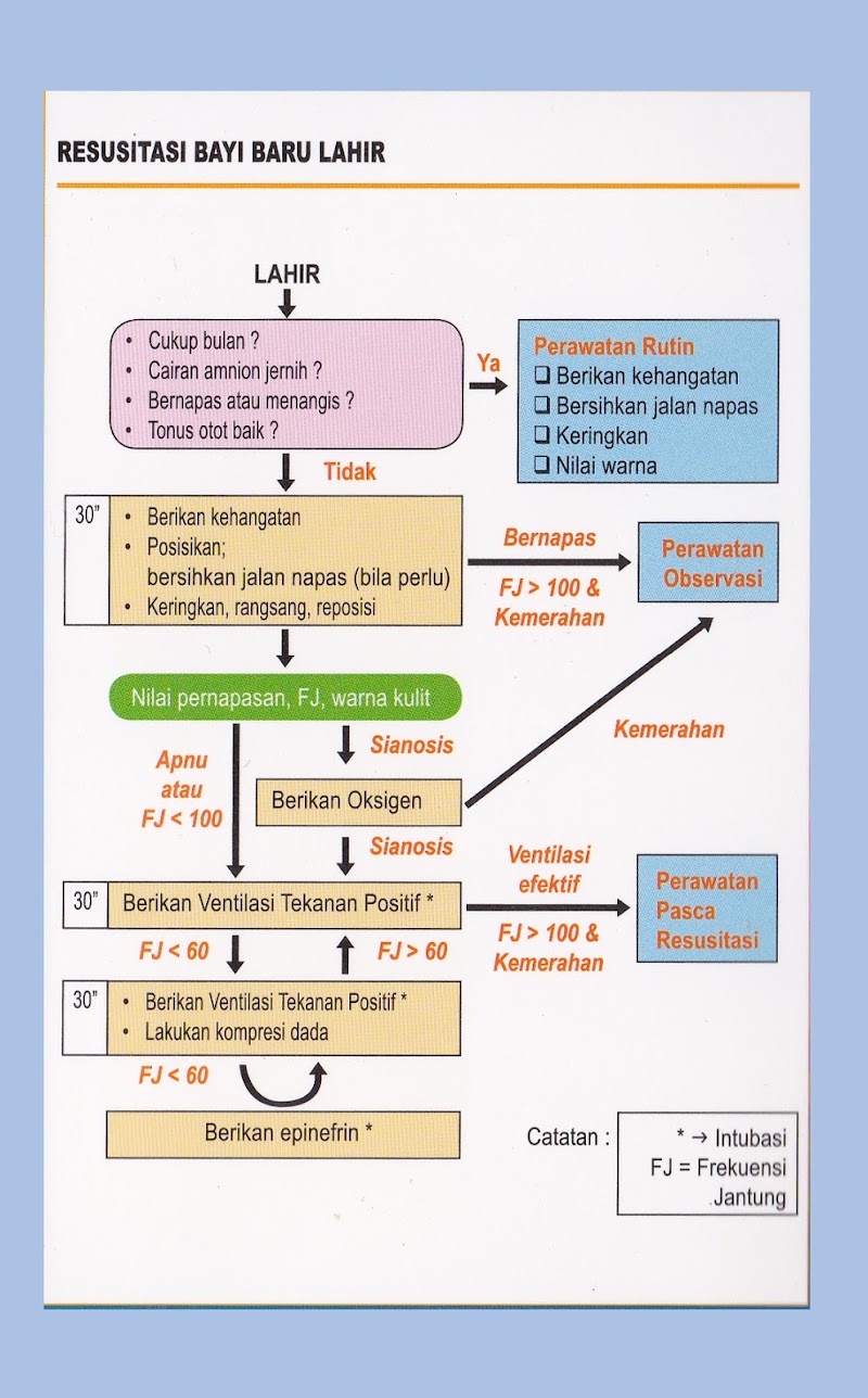 Info Top Resusitasi Bayi