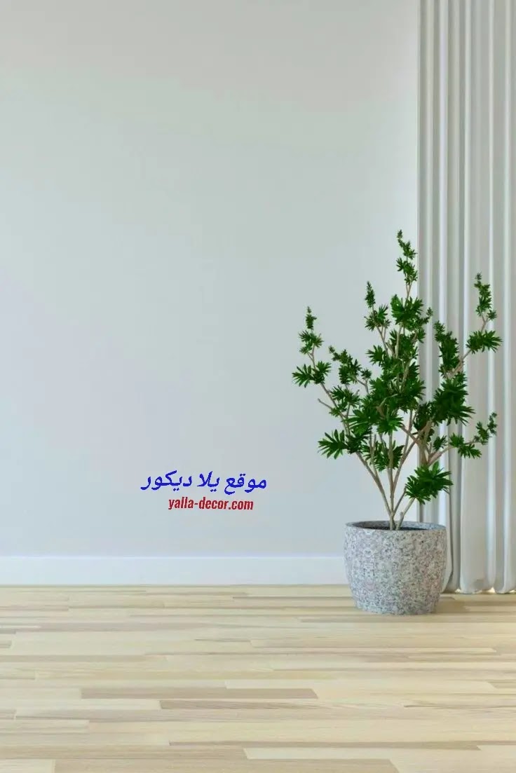 دهانات وألوان حوائط 2025 احدث الوان الدهانات