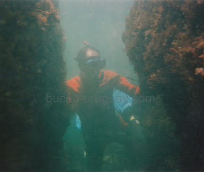 Buceo Uruguay