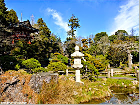 Japanese Tea Garden: San Francisco