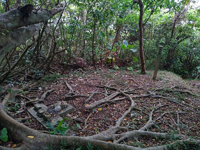 渡嘉敷グスク(渡嘉敷の嶽)の写真