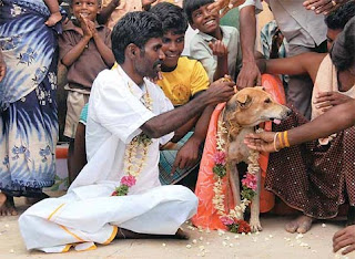 Man married a female dog to break the curse on him