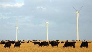 How To Make Your Own Green Energy Source
