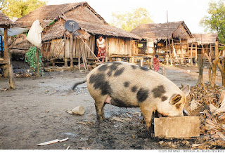 Myanmar Vawk Lak Luh Khap Duh