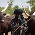 2019 Election: Fulani herdsmen endorse President Buhari