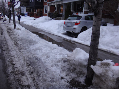 Sidewalk in winter with a wide treed boulevard covered in snow at a driveway. The sidewalk is clear except at the driveway where a big puddle of water covers it, blocked in by snow on both sides of the sidewalk. (Gladstone Avenue, north side, just west of Bay Street)