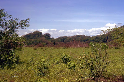 Guanacaste Province, Costa Rica, rainy season