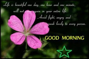 111 Good morning flowers images free download wallpapers with quotes pics