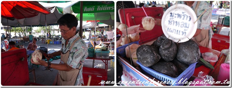 PhotoCap_004