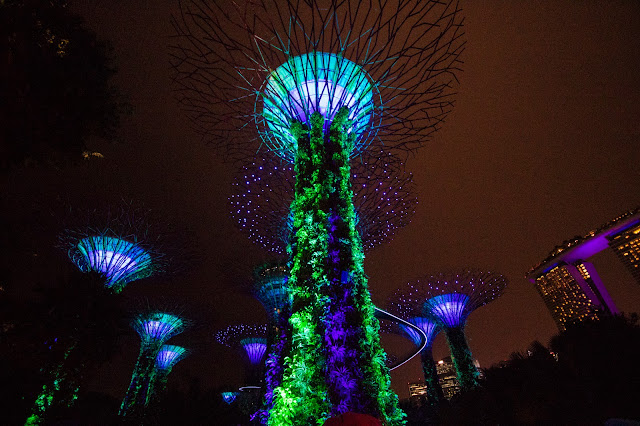 Supertree Grove-Gardens by the bay- Spettacolo di luci e suoni-Singapore