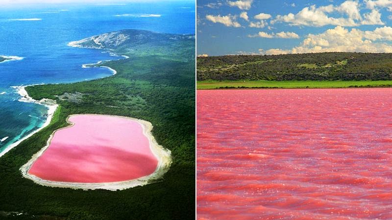 Pink Hillier Lake of Middle island, Australia