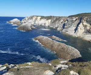 RUTA DEL CABO BLANCO (desde Viavélez a la playa de Porcía). Concejo de El Franco. (10-09- 2022)