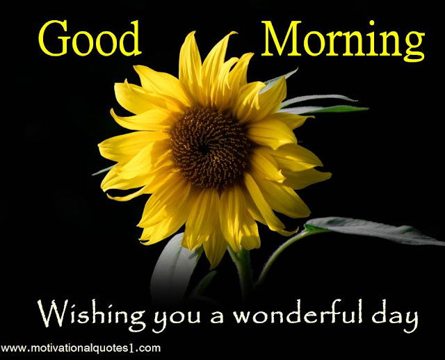 Good Morning Flowers || Good Morning Blessings || गुड मॉर्निंग