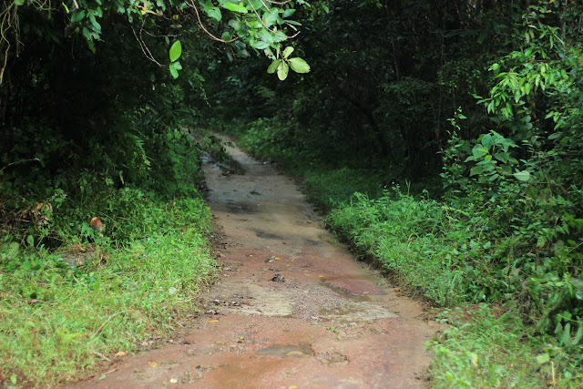 Akses Jalan Lokasi Wisata Bukit Gebang 