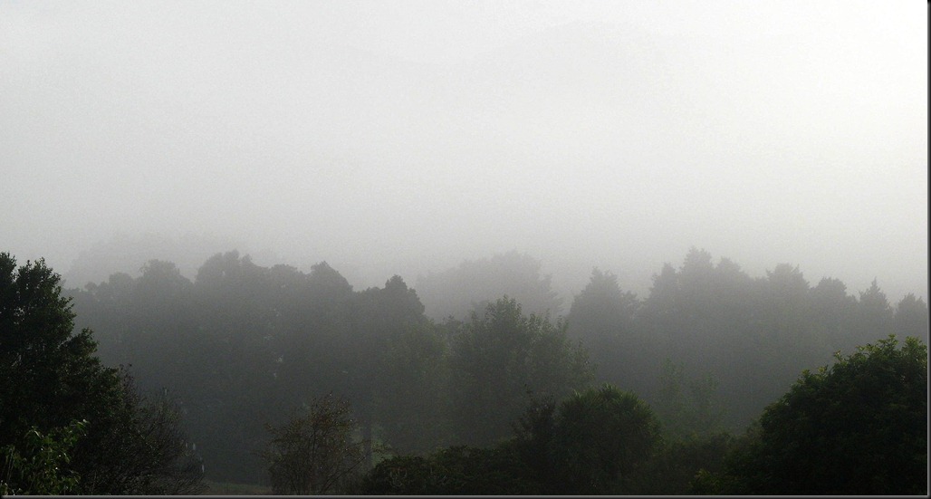 fogapr11