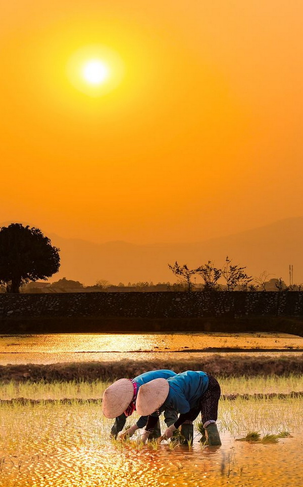 Quang Thái Photography