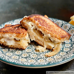 pic of a grilled cheese sandwich with gorgonzola, caramelized onions, and havarti