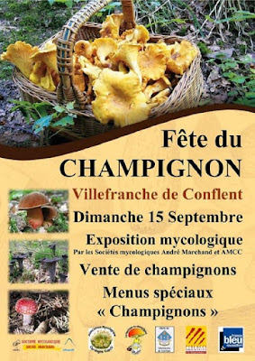 Fête du champignon 2019 Villefranche de Conflent