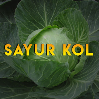 MP3 download Iman Pahlevi - Sayur Kol (feat. JuanAnggara) - Single iTunes plus aac m4a mp3