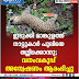 ഇടുക്കി മാങ്കുളത്ത്  നാട്ടുകാർ പുലിയെ  തല്ലിക്കൊന്നു;  വനംവകുപ്പ്  അന്വേഷണം ആരംഭിച്ചു