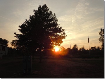 DSCN9204