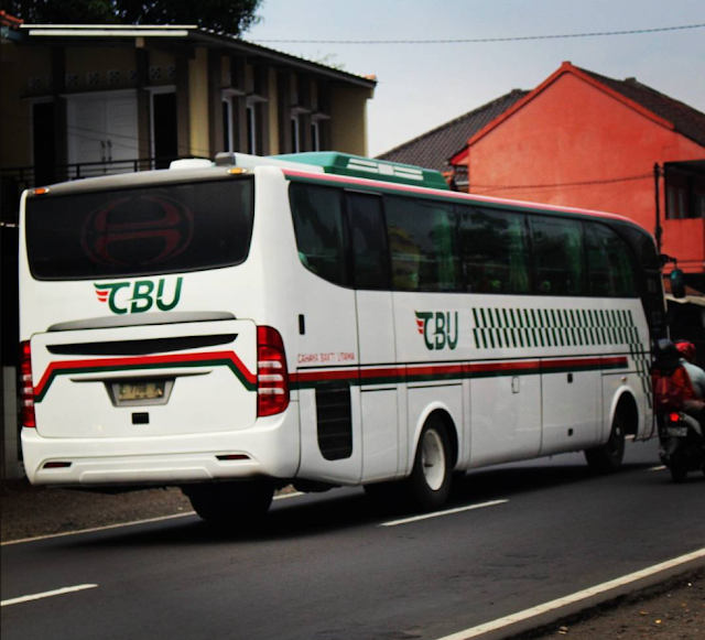 BUS CBU